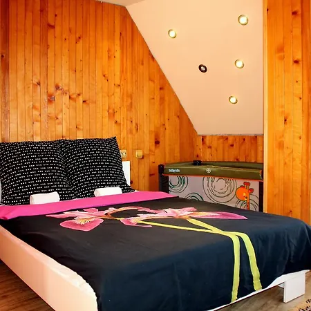 Familien Meeresstern Burgas